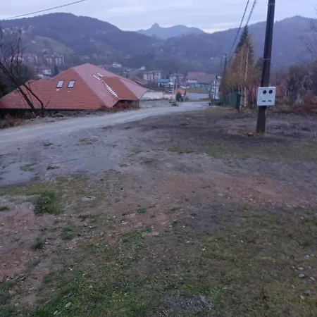 Krstic *